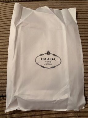 Designer- like White Dust Bag with Logo - NWOT